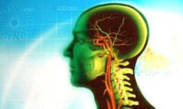 با پنومبرا آشنا شوید با پنومبرا آشنا شوید
