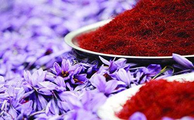 استفاده از ماده موثره زعفران برای کاهش مشکلات ترک اعتیاد استفاده از ماده موثره زعفران برای کاهش مسائل ترک اعتیاد