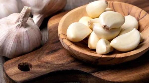 سیر داروی موثر بر کرونا