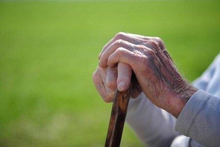 قادری: پنجره جمعیت کشور تا چند سال دیگر بسته می شود