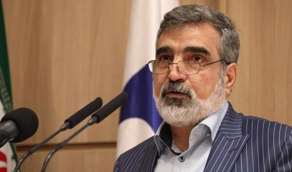 سخنگوی سازمان انرژی اتمی: در خصوص سه مکان ادعایی، به آژانس پاسخ می دهیم