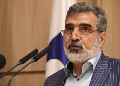 سخنگوی سازمان انرژی اتمی: در خصوص سه مکان ادعایی، به آژانس پاسخ می دهیم