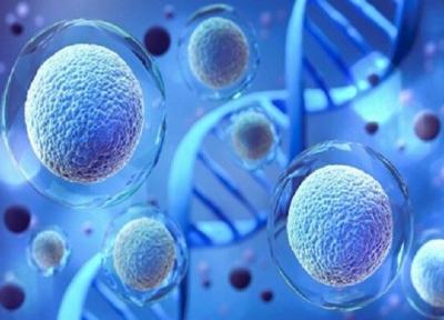 توسعه تحقیقات و آزمایشات در حوزه سلول درمانی