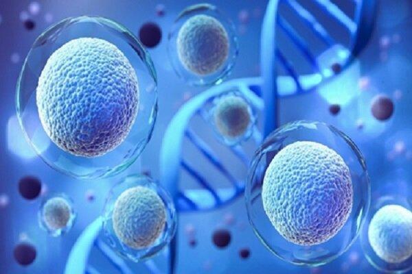توسعه تحقیقات و آزمایشات در حوزه سلول درمانی