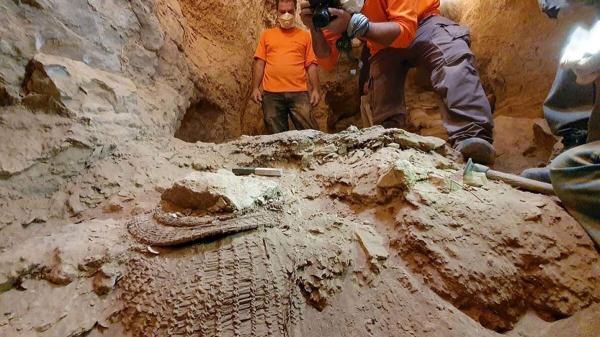 کشف نقاشی های 24 هزار ساله در یک غار