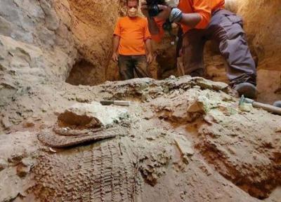 کشف نقاشی های 24 هزار ساله در یک غار