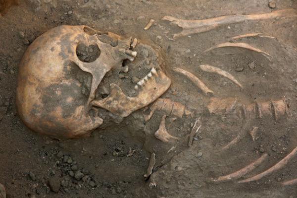 اسکلت 5800 ساله انسان در اطراف شیراز کشف شد اسکلت 5800 ساله انسان در اطراف شیراز کشف شد